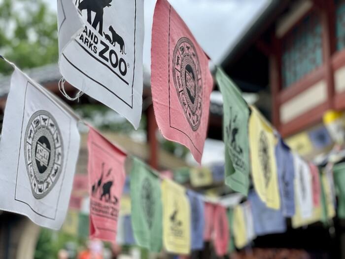 Promotional Flags vs. Event Flags and Banners: Which is Right for Your Event?