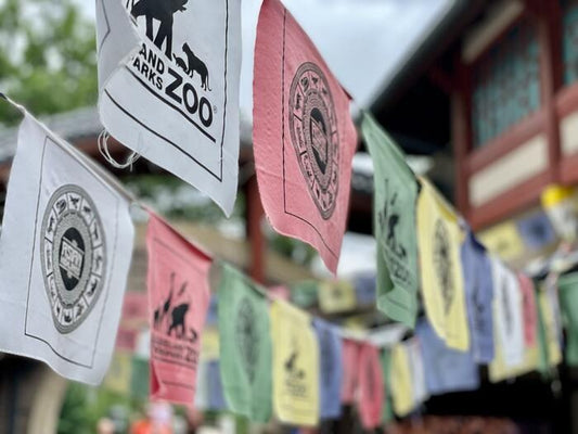 Promotional Flags vs. Event Flags and Banners: Which is Right for Your Event?