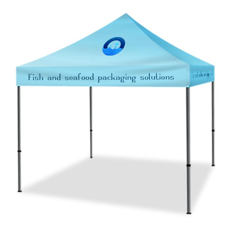 Pop Up Canopy Tent 10 x10 Foot