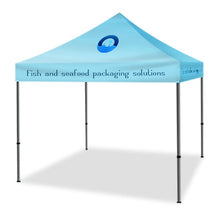 Load image into Gallery viewer, Pop Up Canopy Tent 10 x10 Foot
